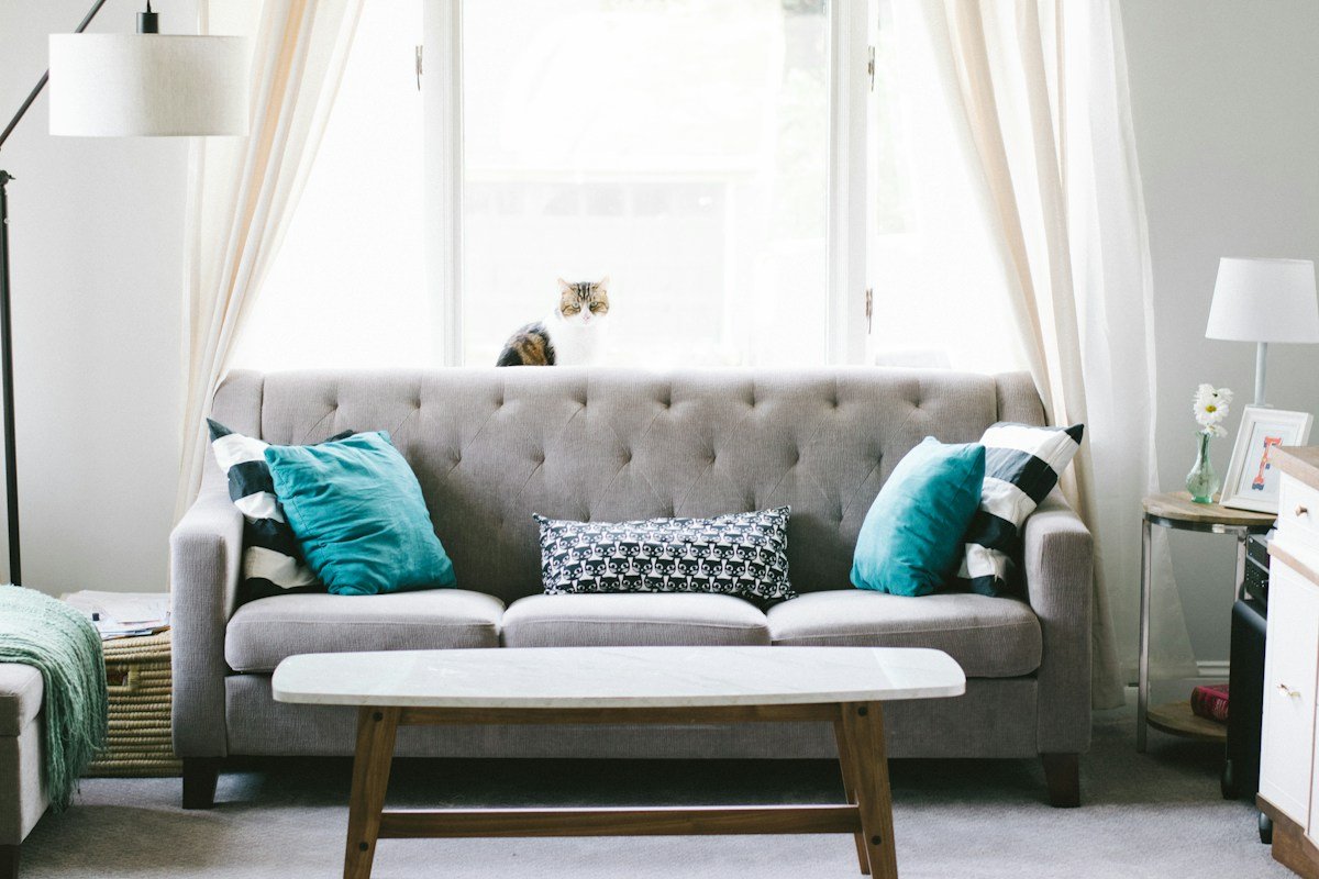 Furniture mood reference for a room that feels lived in